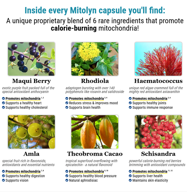 mitolyn ingredients
